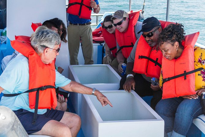 Snorkel Tour and Glass-Bottom Boat Ride in Cabo San Lucas - Glass-Bottom Boat Truth Check: Are You Actually Getting the Glass Views?