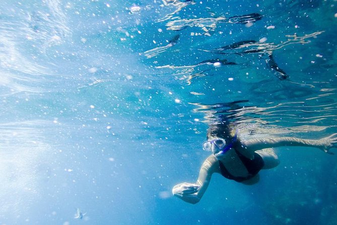 Snorkel Tour and Glass-Bottom Boat Ride in Cabo San Lucas - What You Need to Know Before You Go (So You Don’t Waste Time)