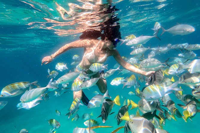 Snorkel Tour and Glass-Bottom Boat Ride in Cabo San Lucas - Value in Plain Terms: What You’re Getting for $115