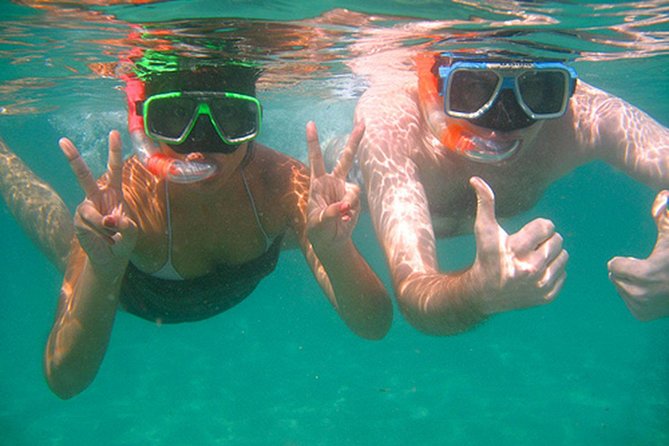 Snorkel Tour and Glass-Bottom Boat Ride in Cabo San Lucas - Pelican Rock Snorkeling: What You Can Expect to See