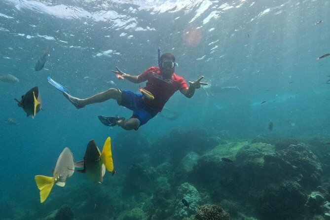 Snorkel Tour in private Trimarán in Los Cabos - Stop-by-stop: what you’re actually doing at each area