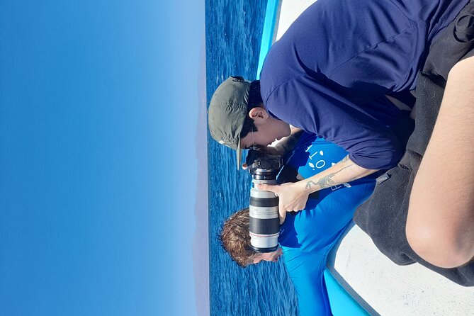 Snorkel with whale sharks includes equipment & transportation - Equipment and transportation: what’s included, and what you should bring anyway