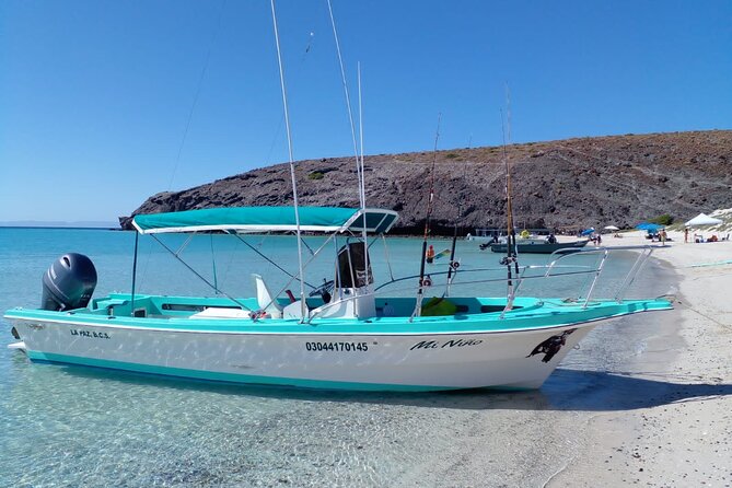 Snorkel with whale sharks includes equipment & transportation - Who this tour is best for (and who should skip it)