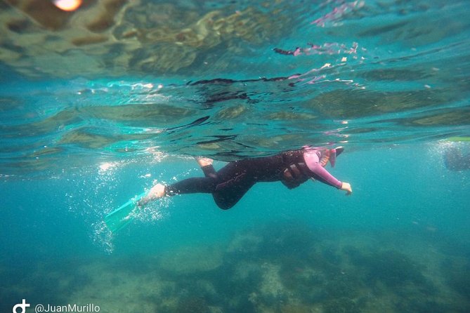 Snorkeling Adventure Cabo Pulmo - Cabo Pulmo’s Living Reef: Why This Snorkeling Trip Feels Different