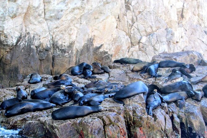 Snorkeling and whale watching Tour in Cabo - El Arco de Cabo San Lucas: the photo stop everyone waits for