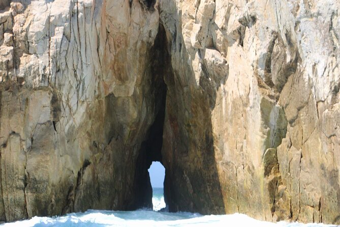 Snorkeling and whale watching Tour in Cabo - Whales and dolphins: when the wildlife timing lines up