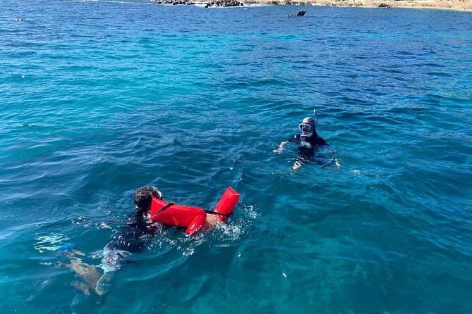 Snorkeling en San José del Cabo , Lunch , Snack , Drinks - Key highlights at a glance