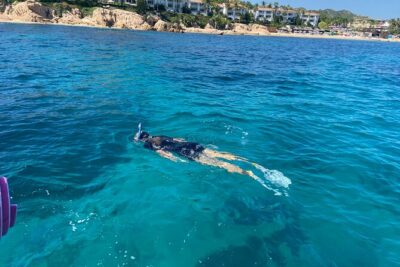 Snorkeling en San José del Cabo , Lunch , Snack , Drinks - The Sea of Cortez cruise: scenery, marine talk, and possible whale sightings
