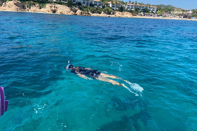 Snorkeling en San José del Cabo , Lunch , Snack , Drinks - The Sea of Cortez cruise: scenery, marine talk, and possible whale sightings