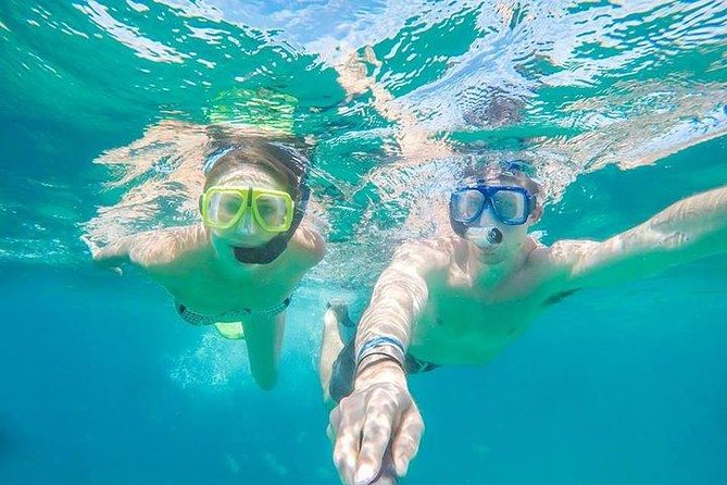 Snorkeling in Cabo San Lucas on 35' Sea Amore Trimaran - Key highlights from a 35 Sea Amore snorkeling cruise