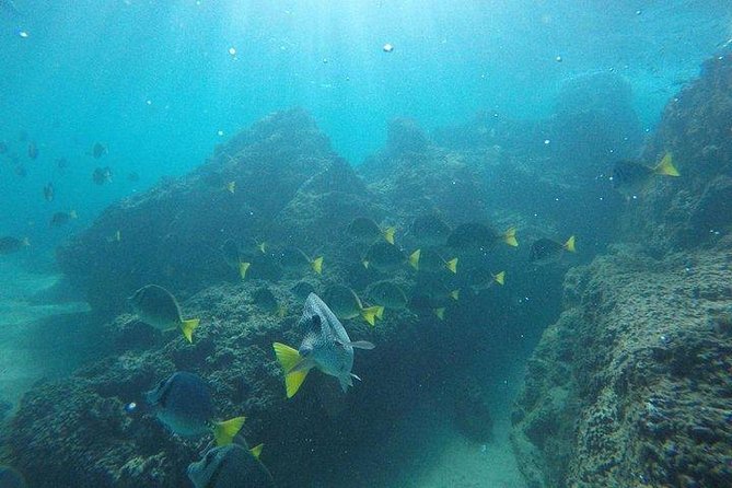 Snorkeling in Cabo San Lucas on 35' Sea Amore Trimaran - Paddle boards and the water mat: more than a snorkeling “backup plan”