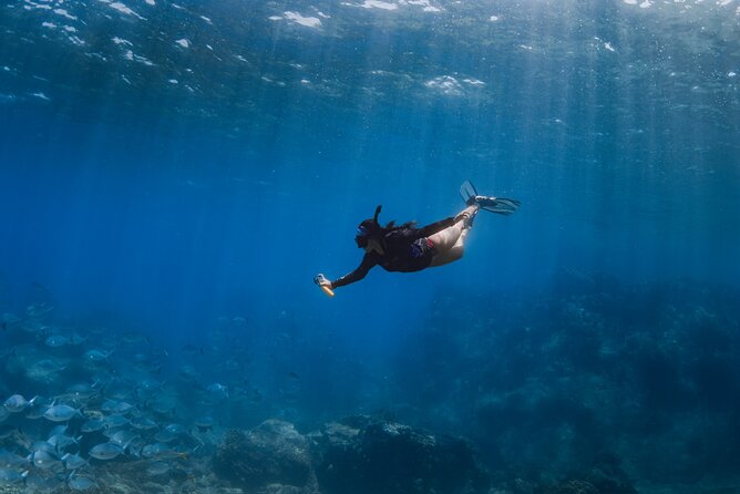 Snorkeling in San Jose del Cabo - What Happens at the Reef (and Why the Pace Helps)