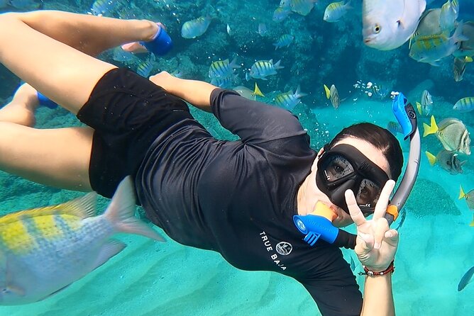 Snorkeling On Chilean Beach Transportation And Drinks Included - Key points to know before you go