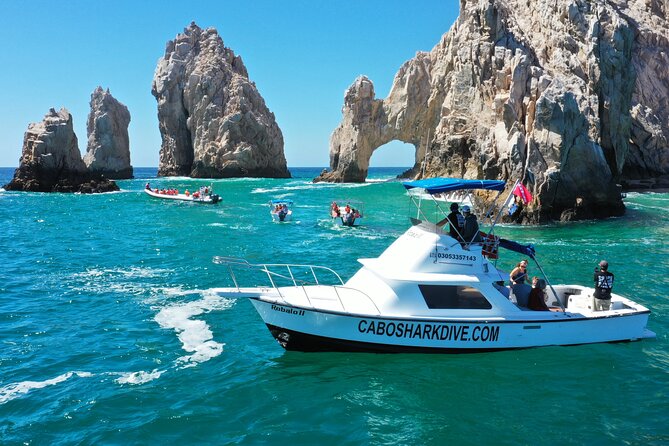 Snorkeling or Swimming with Sharks in Cabo San Lucas - Who This Tour Suits Best in Cabo
