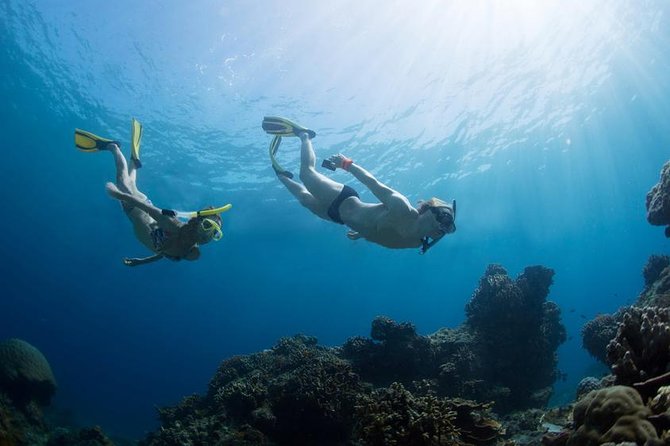 Snorkeling Tour at Land's End in Cabo San Lucas - Pelican Rock Snorkeling: The Underwater Time You Actually Get