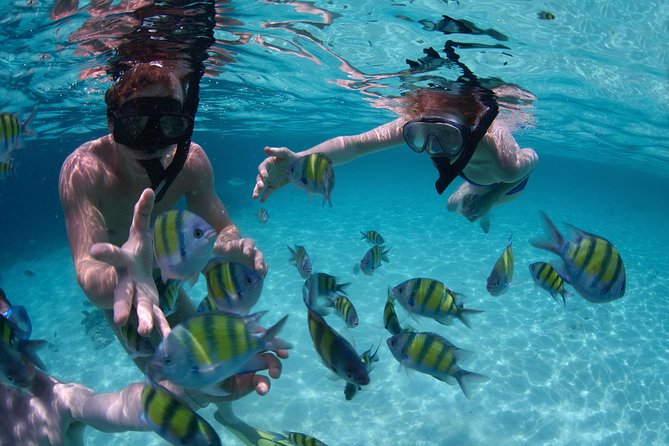 Snorkeling Tour at Land's End in Cabo San Lucas - Land’s End Rock Formations and Animal Sightings From the Water
