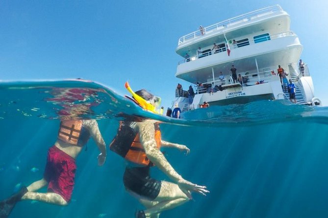 Snorkeling tour in Cabo San Lucas - Snorkeling gear, life jackets, and what to expect underwater