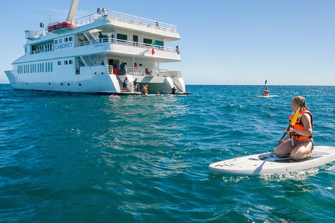 Snorkeling tour in Cabo San Lucas - Your 3-hour flow: meeting point to time on the water