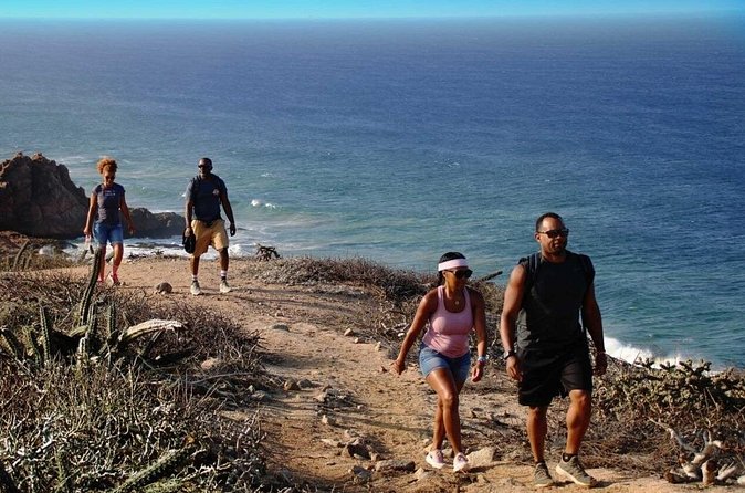 Sunrise Guided Desert Hike in Los Cabos - Quelele After the Hike: Food, Water, and a Real Finish