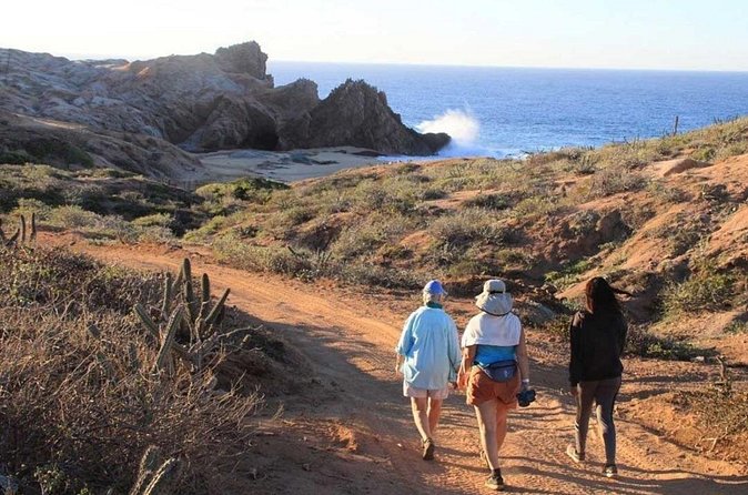 Sunrise Guided Desert Hike in Los Cabos - Price and Value: How the $69 Adds Up (And When It’s a Deal)