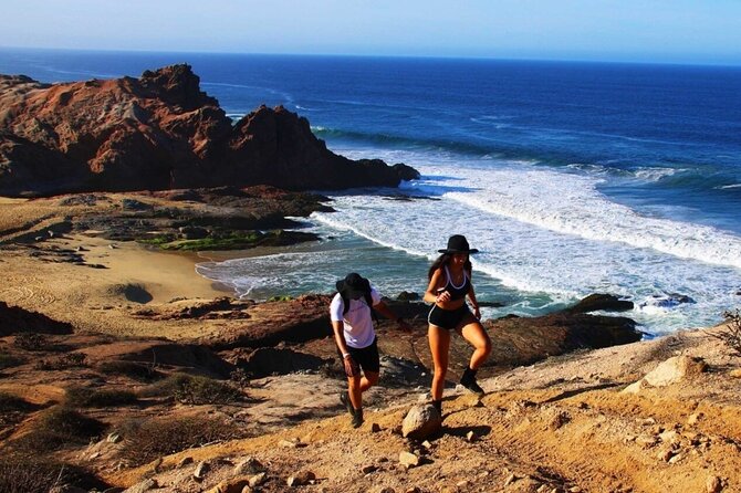 Sunrise Guided Desert Hike in Los Cabos - Who This Sunrise Desert Hike Fits Best