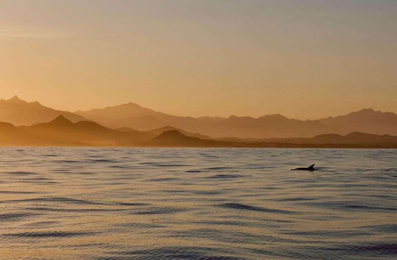 Sunset Cruise in San Jose del Cabo - A two-hour sunset cruise that actually feels calm