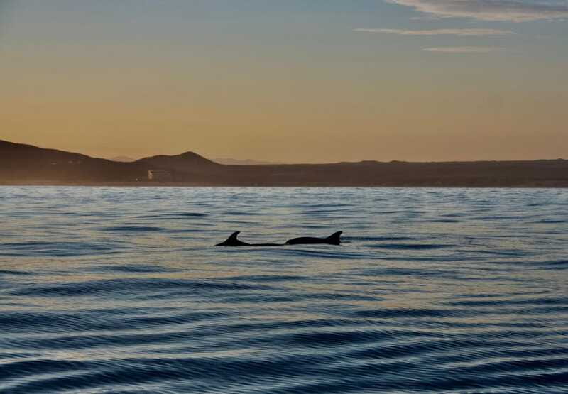 Sunset Cruise in San Jose del Cabo - Comfort and vibe: music, drinks, and what’s included