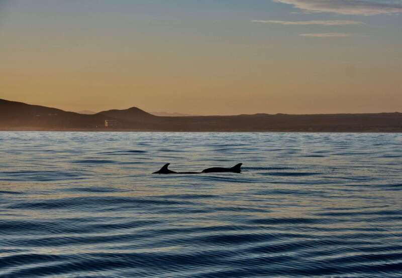 Sunset Cruise in San Jose del Cabo - Getting to the boat: Fishers Marina behind Hotel El Ganzo