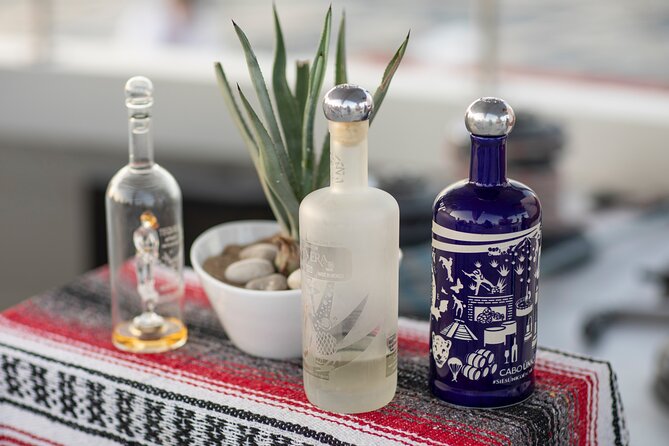 Sunset Cruise Tequila Tasting - El Arco de Cabo: the photo stop that actually gives you a moment
