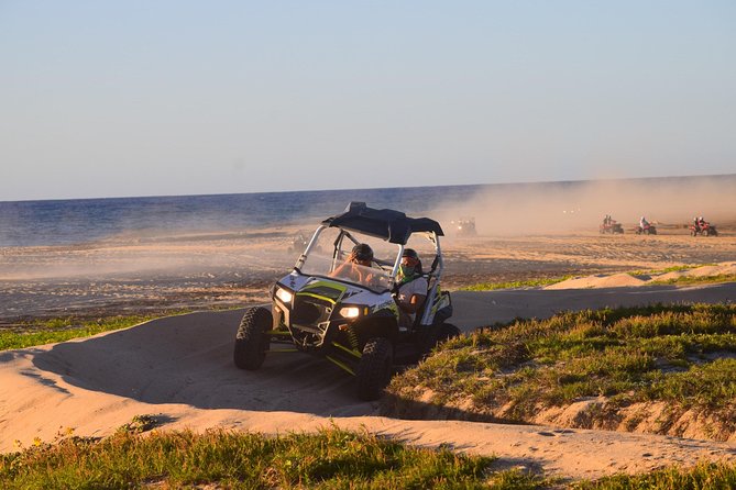 Sunset/Nighttime Migrino Double UTV Tour - After Dark in Cabo: White-Sand Trails, Whales Offshore, and Local Wildlife