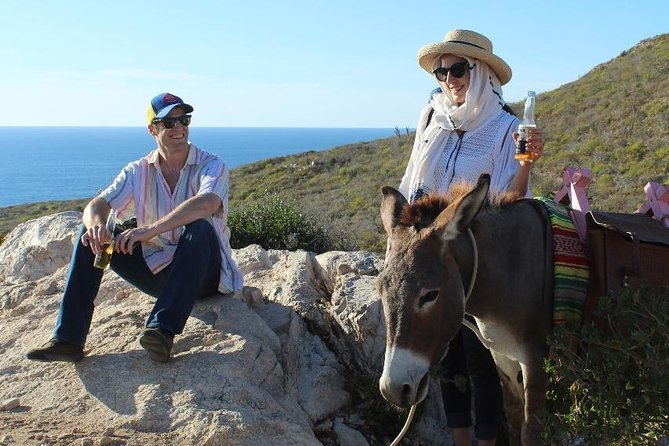 Sunset Pacific Donkey Hiking Tour - Key Things You’ll Notice on This Donkey Tour