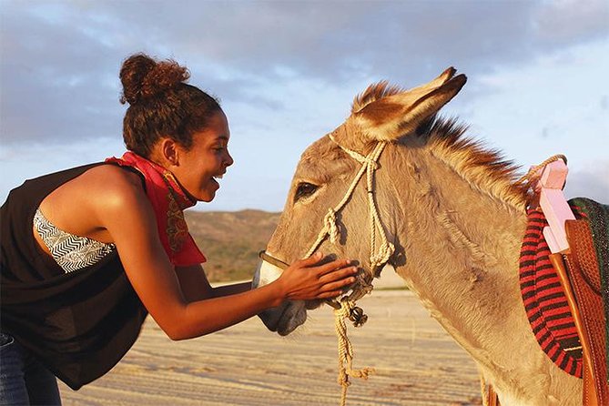Sunset Pacific Donkey Hiking Tour - Why A Donkey-and-Pacific Hike Feels Like a Real Cabo Experience