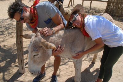 Sunset Pacific Donkey Hiking Tour - Timing Matters: 9:30, 12:30, and 3:30 Choices