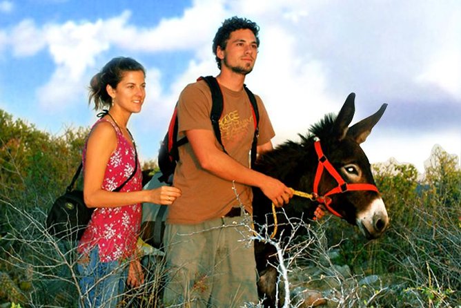 Sunset Pacific Donkey Hiking Tour - The Hike Itself: Desert Trails, Sandy Sections, and Photo Stops