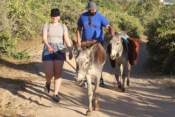 Sunset Pacific Donkey Hiking Tour - Price and Value: The $71.20 Tour Price Plus On-Site Fees