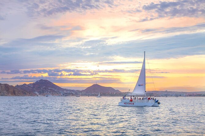 Sunset Party Cruise at Los Cabos - Meeting point and check-in: where you’ll actually show up