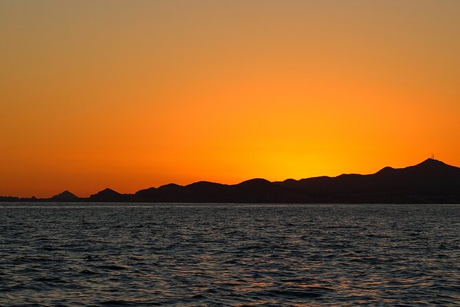 Sunset Whale Watching in San Jose del Cabo - Price and value: how $100 per person stacks up