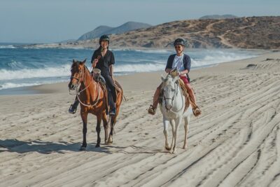Tacos and Horseback Riding at Migriño beach - Your Day Starts Easy: Pickup, Timing, and Mobile Ticket