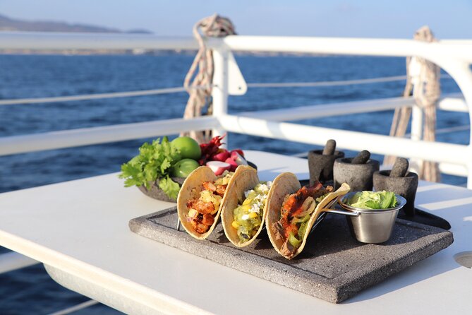 Tacos buffet & Open Bar Cruise! Los Cabos Round Transportation - Getting Comfortable: Shoes, Seasickness, and Simple Win Tips