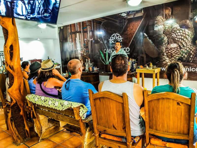Tequila & Mezcal Tasting Experience - Why this Cabo tasting starts in the easy-to-reach center