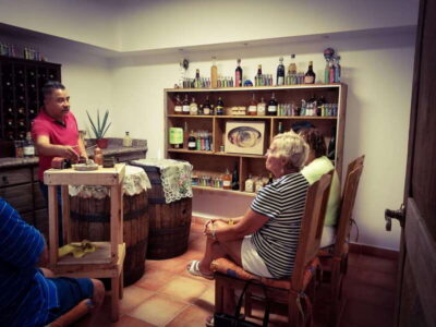Tequila & Mezcal Tasting Experience - How the tequila part works: start with understanding, not just sipping