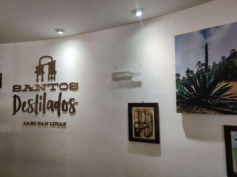 Tequila & Mezcal Tasting Experience - How much it costs and why $35 can make sense in Cabo