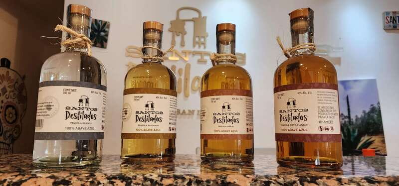 Tequila & Mezcal Tasting Experience - Who this tasting is best for (and who should skip it)