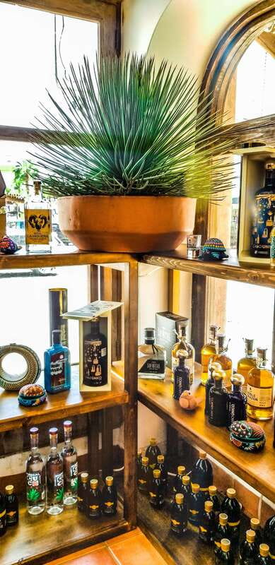 Tequila & Mezcal Tasting Experience - Should you book this tequila & mezcal tasting in Cabo?