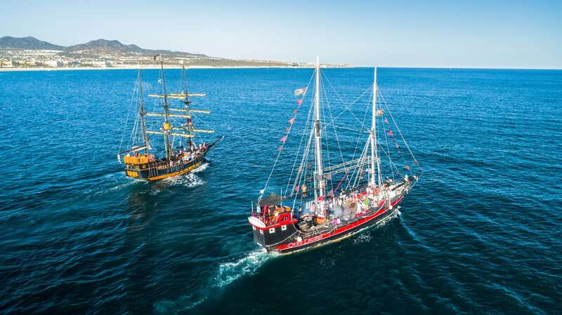 Thar She Blows! Whale Watching Pirate Cruise - Reliability and Day-Of Reality: How to Stay Smart