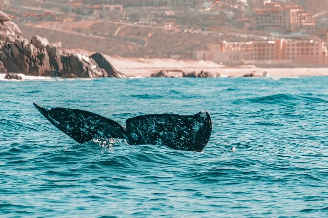 The Finest Private Yacht Experience in Cabo - The Crew Matters: When Guides Like Carlos, Jesus, Allen, and Abelardo Set the Tone