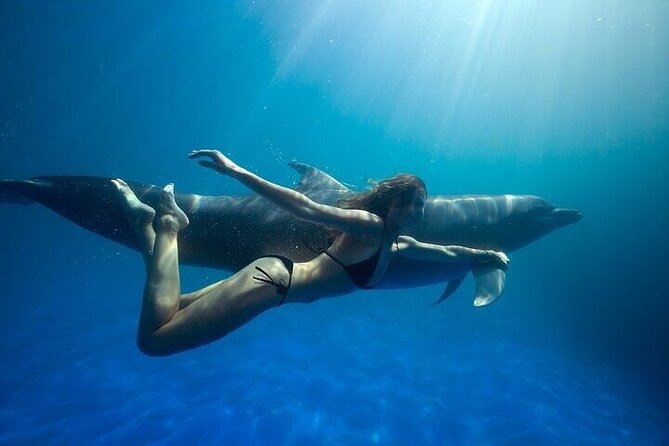 The only Natural Space Dolphin Encounter in Cabo Optional Pickup! - Key Points I’d Plan Around