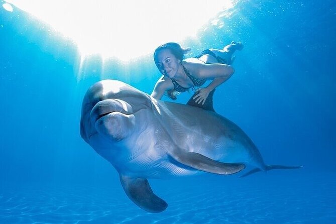 The only Natural Space Dolphin Encounter in Cabo Optional Pickup! - What’s Included: Safety and Dolphin Coaching