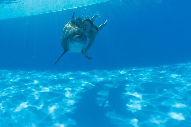 The only Natural Space Dolphin Encounter in Cabo Optional Pickup! - The Photo and Video Reality: Plan for the Add-On