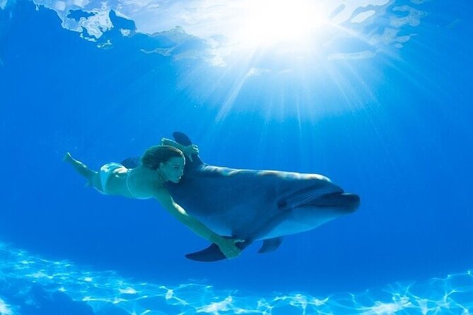 The only Natural Space Dolphin Encounter in Cabo Optional Pickup! - Tips, Language, and Group Feel